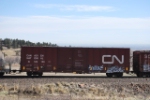 CN 533150